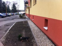 /album/fotogaleria/img-1092-jpg/